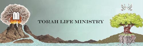 Torahlife Ministry Logo